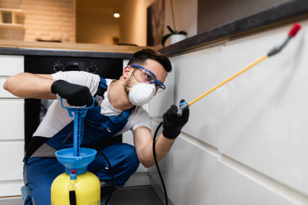 Best Residential Pest Control  in Jonesville, NC