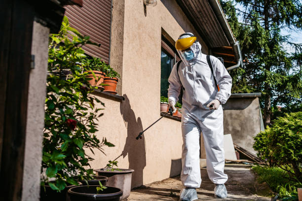 Best Flea Control Services  in Jonesville, NC