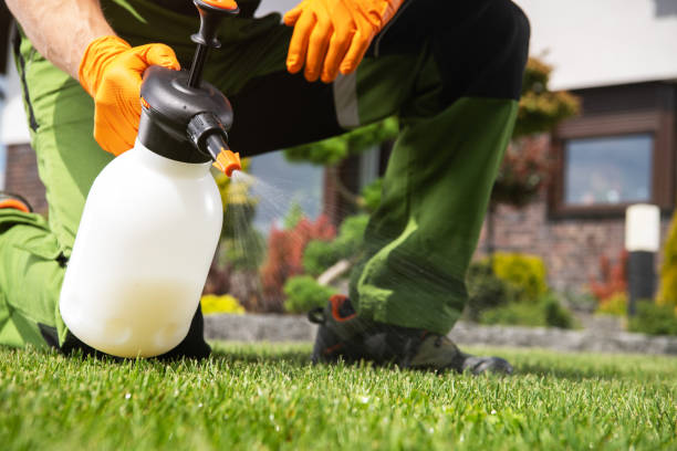 Best Affordable Pest Control Services  in Jonesville, NC