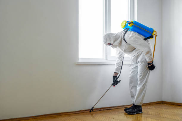 Reliable Jonesville, NC Pest Control Solutions