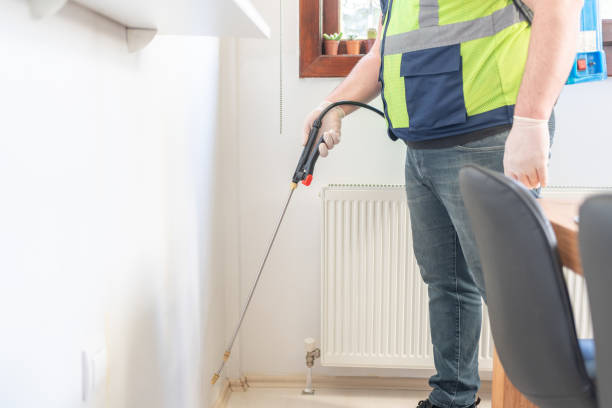Best Wasp Removal Services  in Jonesville, NC