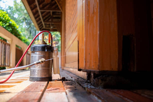 Best Ant Control Services  in Jonesville, NC