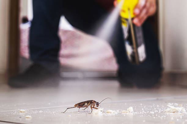 Best Pest Prevention Services  in Jonesville, NC