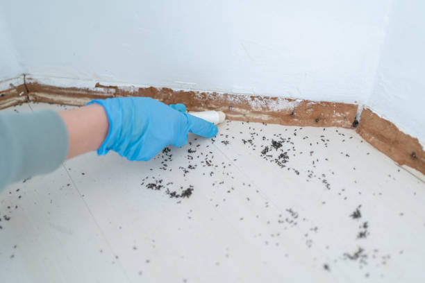 Best Best Pest Control Companies  in Jonesville, NC