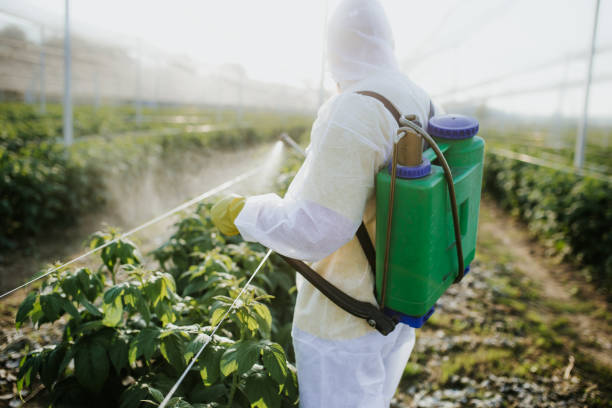 Best Pest Inspection Near Me  in Jonesville, NC